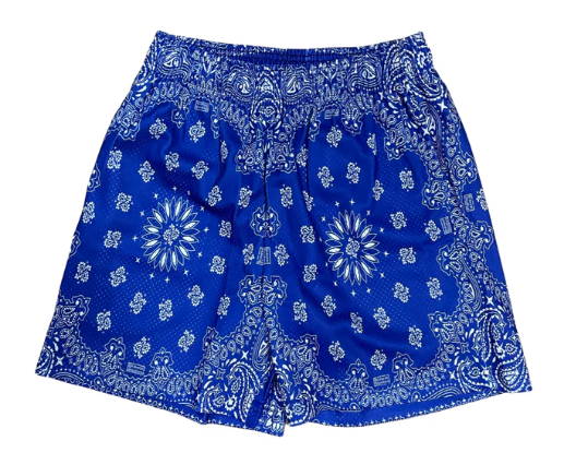 BRAVEST STUDIO SHORTS 'BLUE PAISLEY'