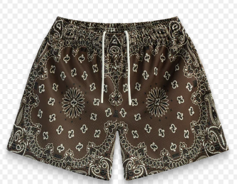 BRAVEST STUDIO SHORTS 'BROWN PAISLEY'