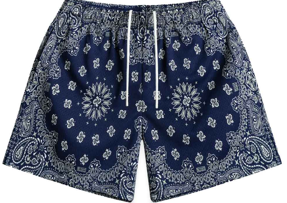 BRAVEST STUDIO SHORTS 'BLUE PAISLEY'